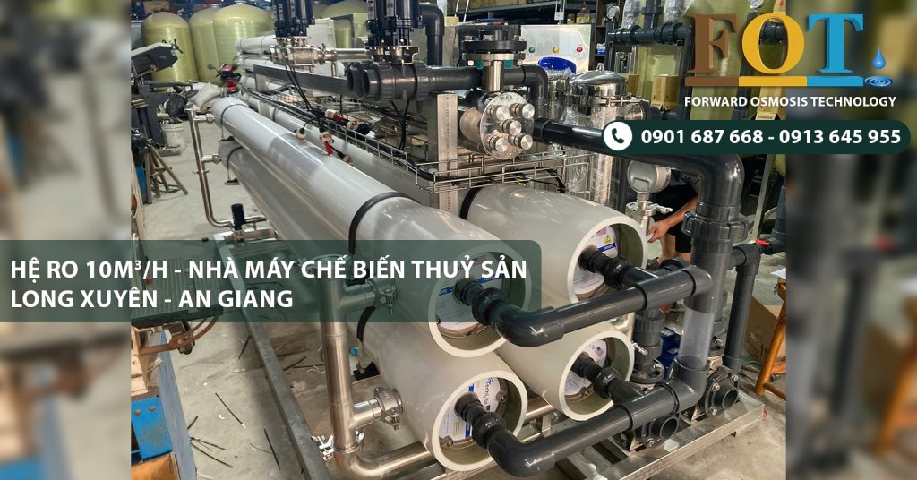 Hệ Thống Lọc Nước RO 10m³/h Cho Nhà Máy Chế Biến Thủy Sản Tại Long Xuyên - An Giang