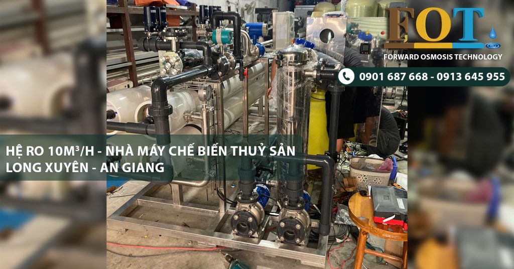 Hệ Thống Lọc Nước RO 10m³/h Cho Nhà Máy Chế Biến Thủy Sản Tại Long Xuyên - An Giang