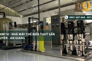 Hệ Thống Lọc Nước RO 10m³/h Cho Nhà Máy Chế Biến Thủy Sản Tại Long Xuyên - An Giang