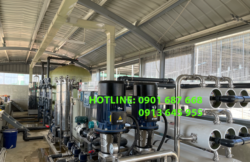 Hệ thống xử lý nước RO và UF công suất 5000 - 100.000 lít/giờ: So sánh và lựa chọn giải pháp tối ưu